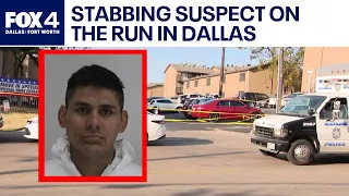 Stabbing suspect on the run after police shooting