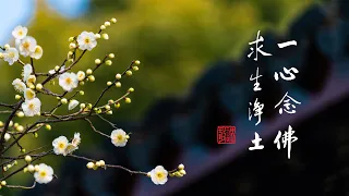 淨空老法師｜大經專修（二）｜用念佛的方法修成的三昧叫念佛三昧-第0133集