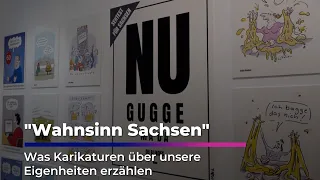 Saxony Madness: Caricatures about the dialect | Sachsen Fernsehen