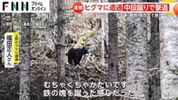 【速報】「中段蹴りしたらたまたま当たった」　 2頭のクマに遭遇した空手経験者の男性が応戦も負傷　北海道・名寄市