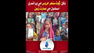Mehran TV || Dukhan: Primary School Building in Sanjar Khuhawar Dilapidated