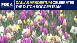 Дендрарий Далласа чествует голландскую национальную футбольную команду.