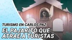 Así se asoma el famoso pajarito Cucú en Carlos Paz: un espectáculo que atrae a turistas