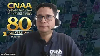 Gobierno plantea proyecto para subsidiar seguros agropecuarios