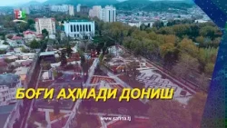 Они удваивают красоту цветка.