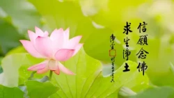 淨空老法師｜大經專修（二）｜努力成熟淨土的緣-第0207集