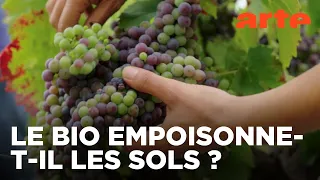 Le vin bio, vraiment bio ? | Documentaire | ARTE
