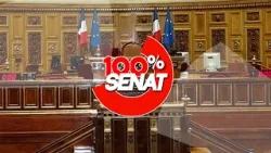 Jean-Pierre Farandou, PDG de la SNCF auditionné au Sénat