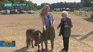 New Day Cleveland- Portage County Randolph Fair pt. 2