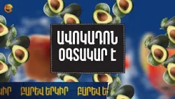 Երբ համեղը նաև «Օգտակար է». Ավոկադո