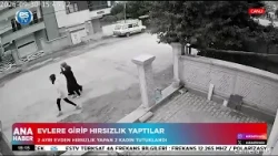 They committed burglaries in two separate houses!