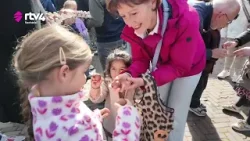 Burgemeester Vroomen tikt voor het laatst een eitje in Ommen