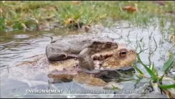 JT du jeudi 2 avril 2026