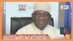 CS Mvurya вмешивается, чтобы спасти крикет.