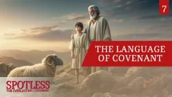 «Подтверждение и возобновление завета» — Spotless 07 «Подтверждение и возобновление завета» — Spotless 07