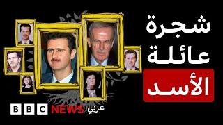 من حافظ لبشار الأسد.. شجرة عائلة حكمت سوريا لعقود