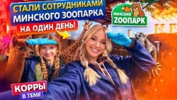 КОРРЫ В ТЕМЕ: НАС ЧУТЬ НЕ СЪЕЛИ НА РАБОТЕ! Стали сотрудницами зоопарка на день