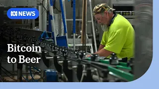 Brewery uses Bitcoin waste heat to make beer | ABC NEWS