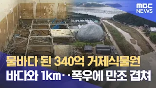 Torrential Rain, High Tide, and Low Elevation Converge: Geoje Botanical Garden Submerged (08/24/2...