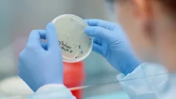 Bio-inputs market expected to close 2026 with 7% growth in value and 10% in volume | News Roundup
