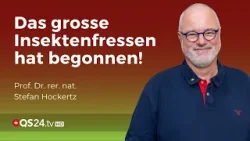 Chitinase – Die Grosse Gefahr beim Insektenfrass | Prof. Dr. rer. nat. Stefan Hockertz | QS24