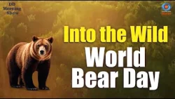 DD Morning Show | Into the Wild | World Bear Day | Bears, Habitat & Conservation Awareness