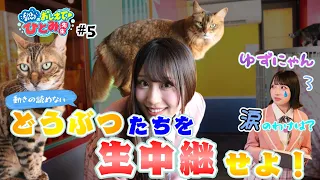 [Tell Me, Ms. Hitomi!] Episode 5: "Broadcast the Animals Live!"