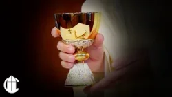 Catholic Mass Today: 1/1/26 | Solemnity of Mary, the Holy Mother of God