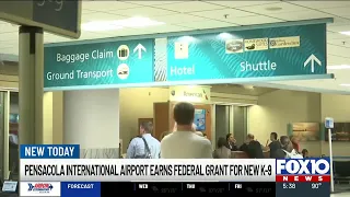 Pensacola International Airport receives federal grant for new K-9