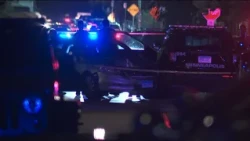 Minneapolis police officer fires at teenage armed carjacking suspect