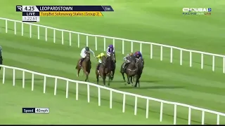 🏇 Quddwah.. يفوز بشوط Tonybet Solonaway Stakes✨ ضمن منافسات مضمار ليبردزتاون
