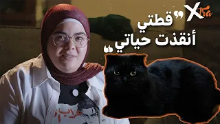 كيف أنقذت قطة حياة شابة كانت على وشك الانتحار؟