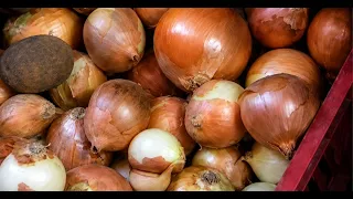 Merchants question restrictions on selling potatoes and onions