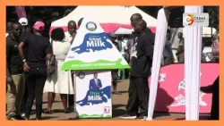 Thousands of young learners in Kisii set to benefit from county milk program