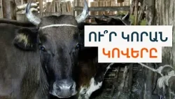 «Իմ սիրտը կուզի գեղեցկուհի տանձ, ցուլիկի միս». ինչքա՞ն ինքնաբավ է Հայաստանը. Թվերից այն կողմ #5