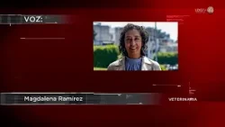 Advierten empalamiento de aves silvestres en parcelas de Casimiro Castillo