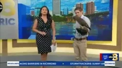 How to help protect wildlife during Virginia's fall bird migration