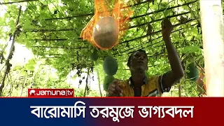 অতিরিক্ত তাপ-বৃষ্টিতেও বারোমাসি তরমুজে সফল কুড়িগ্রামের কৃষকরা | Watermelon | News | Jamuna TV