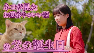 【はかねこ日記】※第2回【父の誕生日】ネコが見たお墓参りのちょっといい話！ネコの声はともさかりえ#ネコ #猫 #ともさかりえ #お墓参り #猫のいる暮らし #猫動画  #猫好きさんと繋がりたい