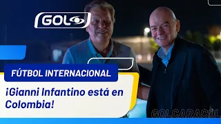 H1 INFANTINO