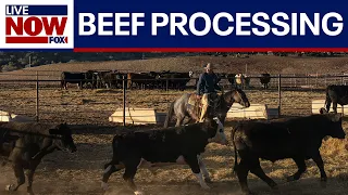 Trump looks to ease beef processing regulations in U.S. after imports backlash