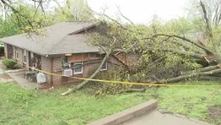 Severe storms with straight-line winds leave widespread damage