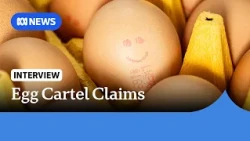 ACCC accuses 12 egg suppliers of engaging in cartel and anti-competitive conduct | ABC NEWS