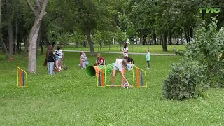 In Samara, pets and their owners learn to work as a team at agility training sessions