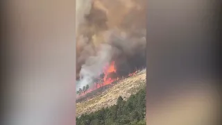 Morrone, experts on-site: post-fire monitoring begins