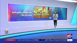 Egypt's Efforts to Support Palestine
