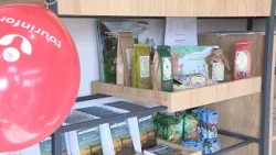 Gyenesdiáson nem a tömegturizmus diktál, hanem a minőség, a természetközeliség