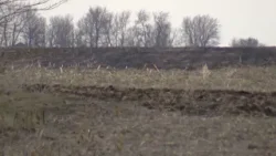 Black Hawk County firefighters respond to large field fire