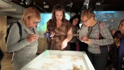 The Ephemerality and Memory of Matter - Paper Art Exhibition by Dr. Majka Dokudowicz in Duszniki-...