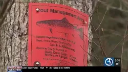 DEEP creates new fishing restrictions as native trout numbers drop up to 37 percent